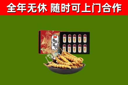 濮阳县回收冬虫夏草价格